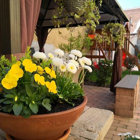 Korzo Apartman Kőszeg Екстериор снимка